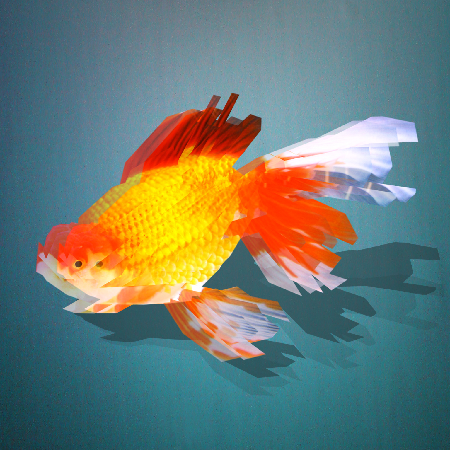 gullfiskyes